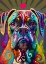 Picture of BOXER