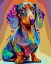 Picture of THE OBVIOUS DOXIE