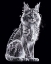 Picture of MAINE COON