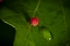 Picture of SEM1371