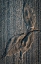 Picture of CEMENT AUTUMN 1336