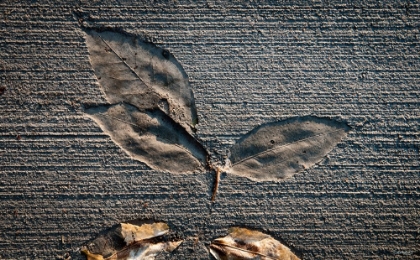 Picture of CEMENT AUTUMN 1335