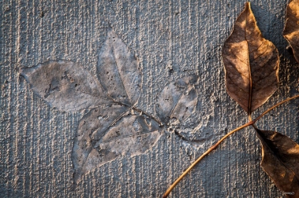 Picture of CEMENT AUTUMN 1309