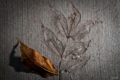 Picture of CEMENT AUTUMN 1283