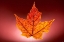 Picture of GS36_3843