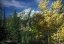Picture of RETURN TO THE GRAND TETONS 07