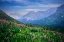 Picture of GLACIER NATIONAL PARK 04