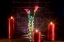 Picture of CALLA LILY 05