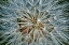 Picture of TEXTURES 04