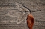 Picture of TEXTURES 09