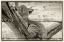 Picture of BABY IN A TREE 03