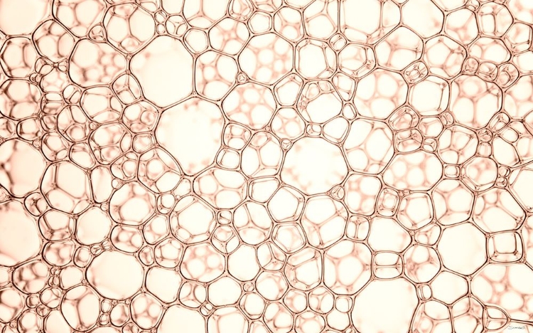 Picture of SOAP SUDS 10