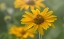 Picture of TEXTURES 14