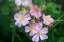 Picture of TEXTURES 23