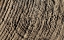 Picture of TEXTURES 27