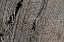 Picture of TEXTURES 29