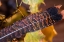 Picture of AUTUMN 02