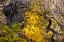 Picture of AUTUMN 10