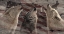 Picture of WOODGRAIN ANTIQUES WOLVES USA