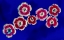 Picture of MACRO FLOWERS 01