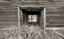 Picture of LOST FARMSTEAD ON THE PRAIRIE 024
