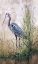 Picture of JP1818_IN THE REEDS-BLUE HERON-B