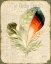 Picture of JP2091_ELEGANT FEATHER-E