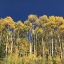 Picture of ASPENS STILLWATER PASS