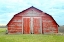 Picture of THE RED SHED