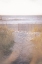 Picture of SOFT DUNE LIFE