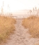 Picture of WALK TO VACATION