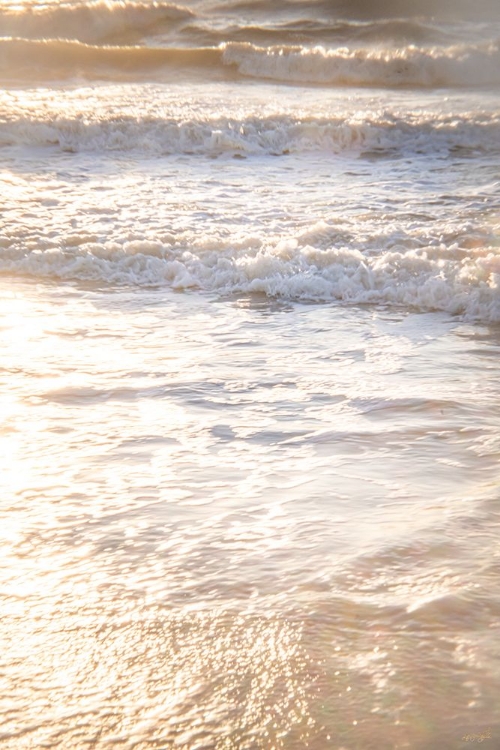 Picture of WAVE DREAMS