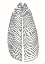 Picture of PALM LINE 1