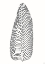 Picture of PALM LINE 2