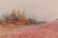 Picture of RED AND GOLD FOREST