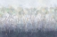 Picture of LIGHTENED TREESCAPE
