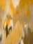 Picture of GOLDEN BLURS