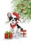 Picture of FRENCH BULLDOG