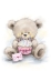 Picture of BEAR WITH CAKE