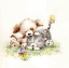 Picture of DOG AND CAT WITH BUTTERFLY