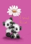 Picture of TWO PANDA WITH DAISY