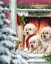 Picture of DOGS AT WINDOW