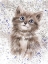 Picture of CAT 3