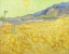 Picture of WHEATFIELD WITH A REAPER - VICENT VAN GOGH