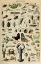 Picture of ARTHROPODES POUR TOUS- ADOLPHE MILLOT