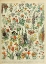 Picture of FLEURS A-  ADOLPHE MILLOT