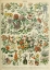 Picture of FLEURS C-  ADOLPHE MILLOT