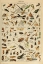 Picture of INSECTES-  ADOLPHE MILLOT