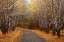 Picture of COEUR DALENE FALL ROAD 3322