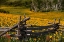 Picture of COLORADO LAST DOLLAR RD FENCE 1554